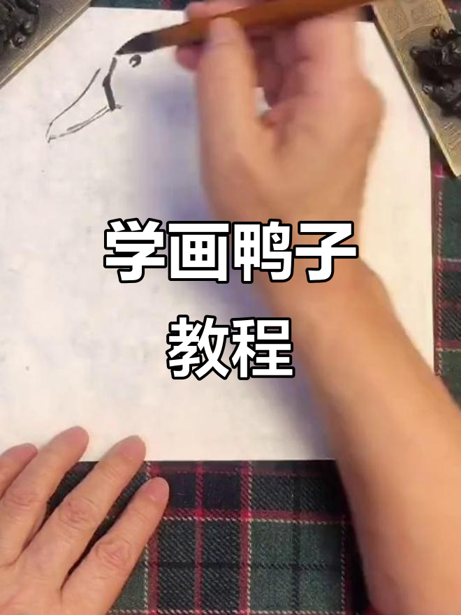 梅若先生教你画鸭子,公母鸭区别与技巧解析