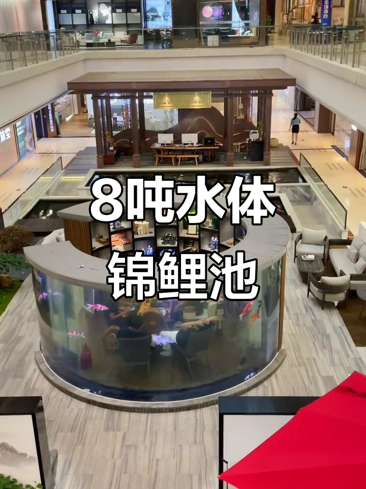 8吨锦鲤鱼缸过滤系统揭秘,智能生态净化器让水质更佳