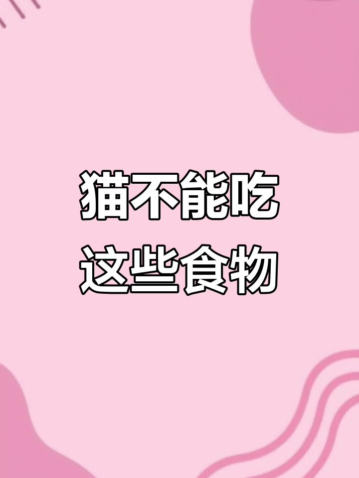 猫咪不能吃的食物,巧克力、葡萄都可能致命