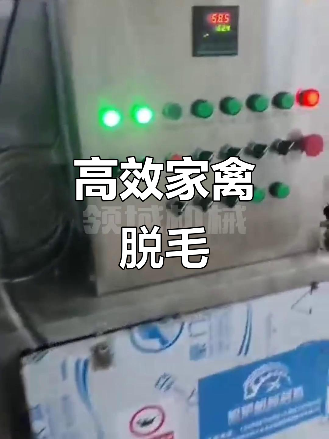 家禽脱毛机效果惊人,死鸡鸭也能轻松去毛!