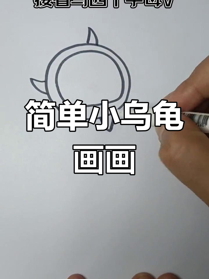 小乌龟简笔画,轻松学会徒手画