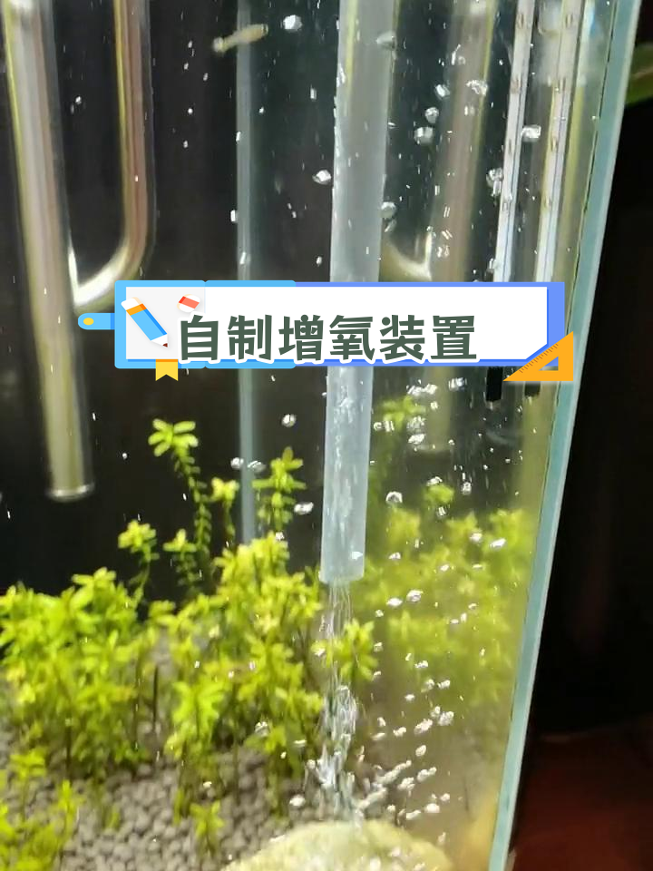 DIY文氏管,轻松提升鱼缸氧气