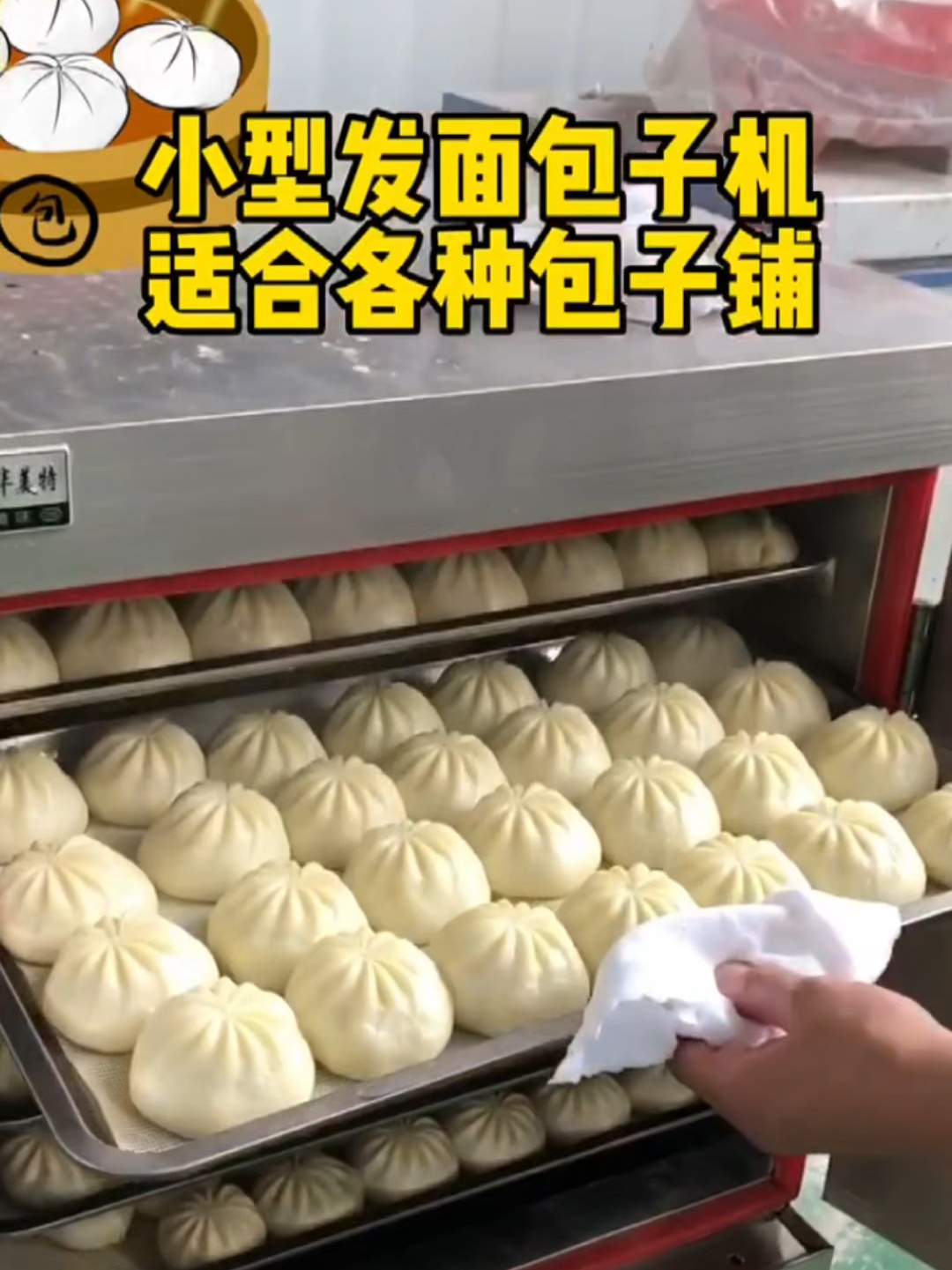新型全自动包子机,可做发面,老面的小型包子
