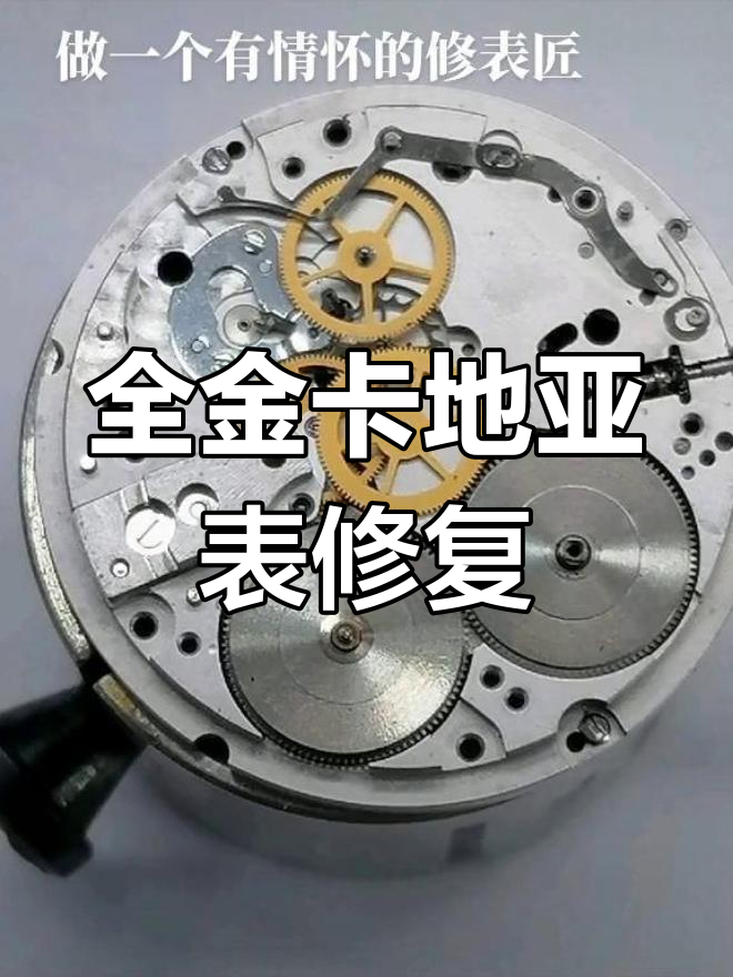 杀手螺迅速吞食孔雀鱼,现场瞬间变得毫无痕迹