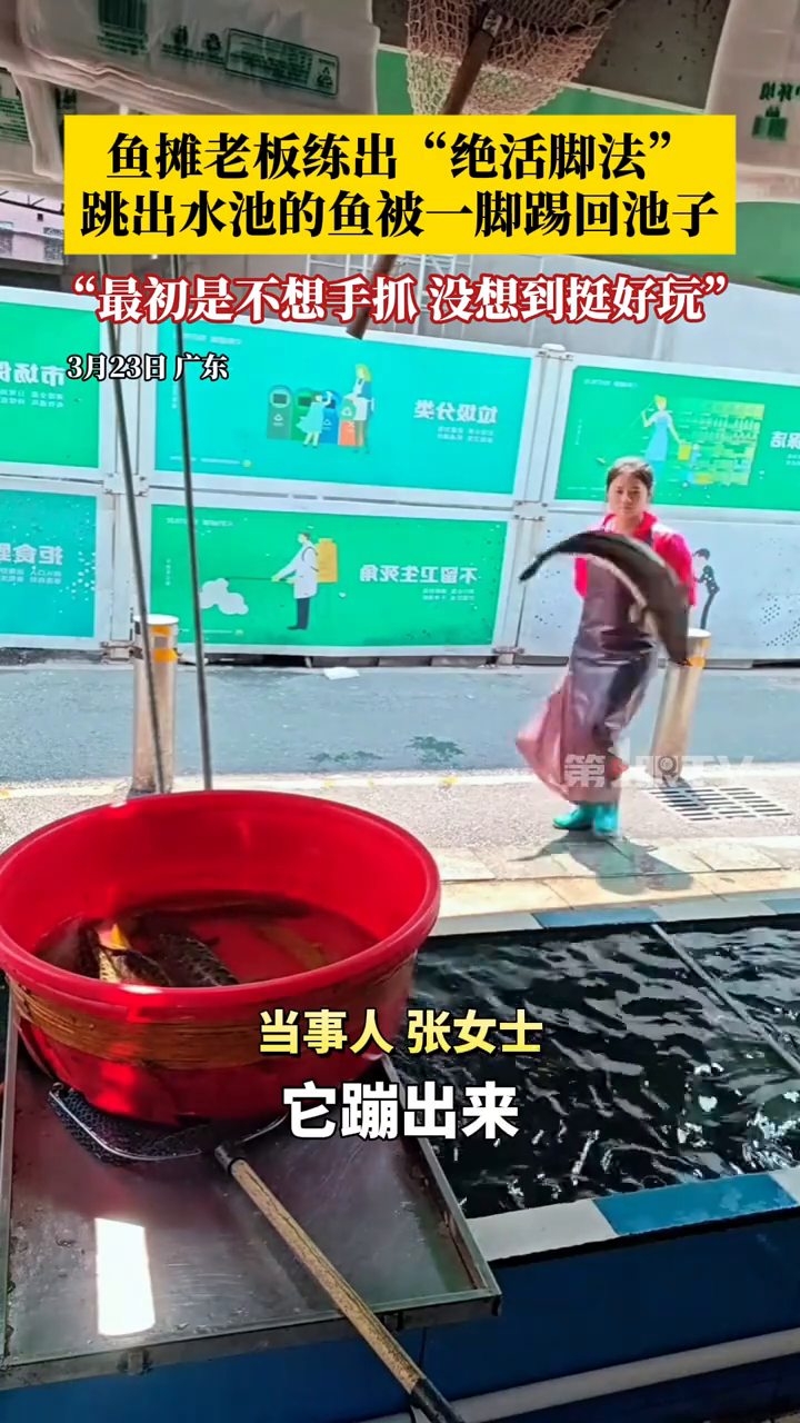 鱼摊老板练出“绝活脚法”,跳出水池的鱼被一脚踢回池子