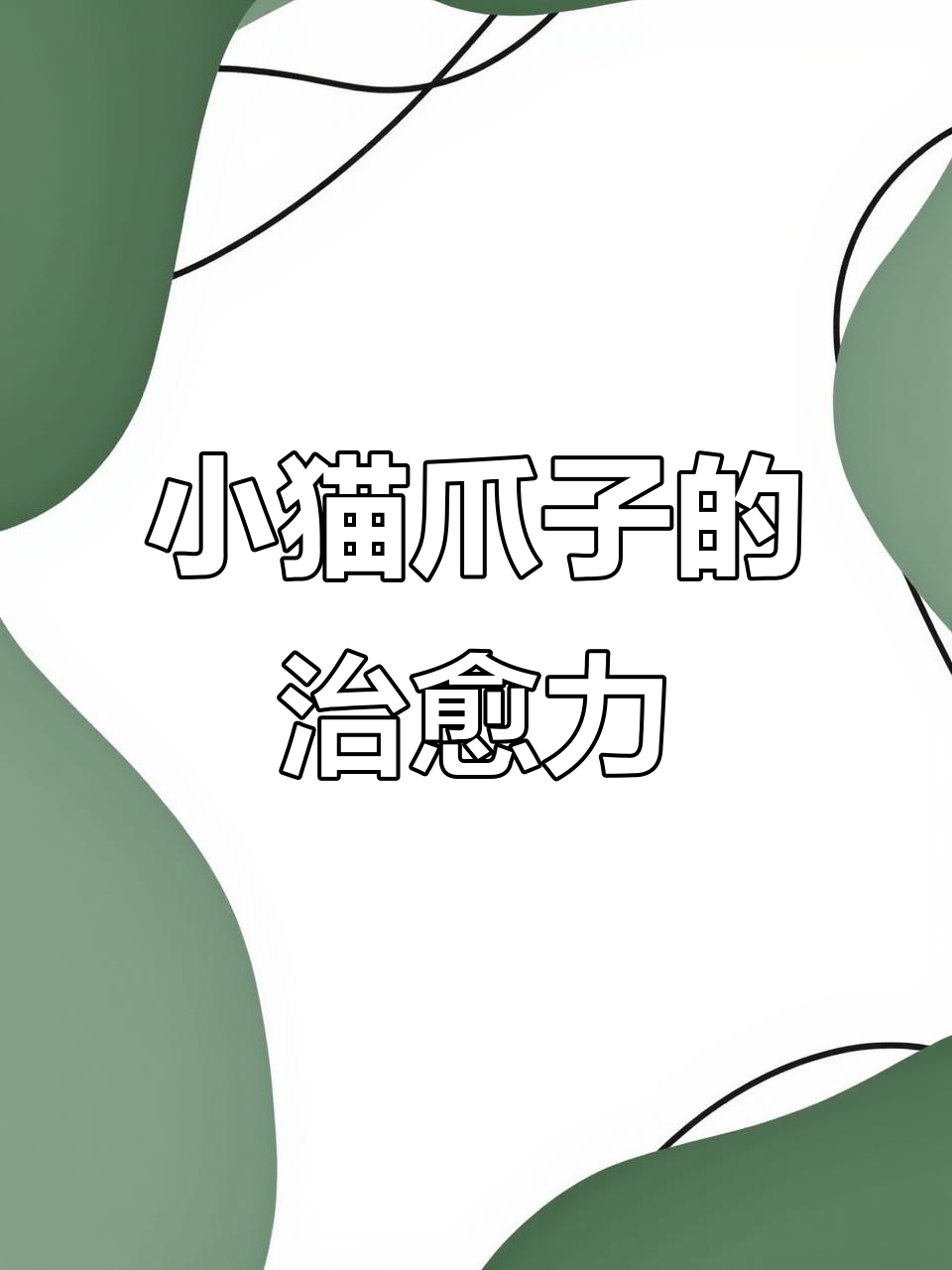 猫咪几个小动作,萌化我的心!爪子太可爱了