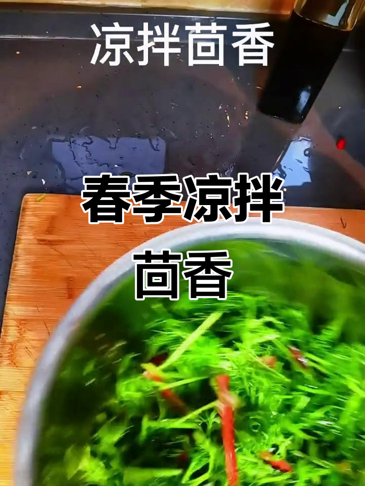 春天最美味凉拌茴香,简单几步搞定!