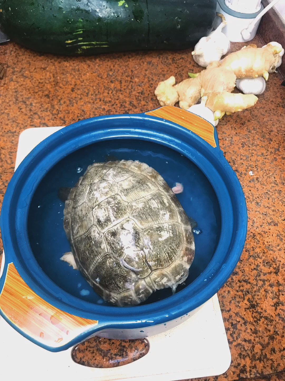 土茯苓煲龟汤
