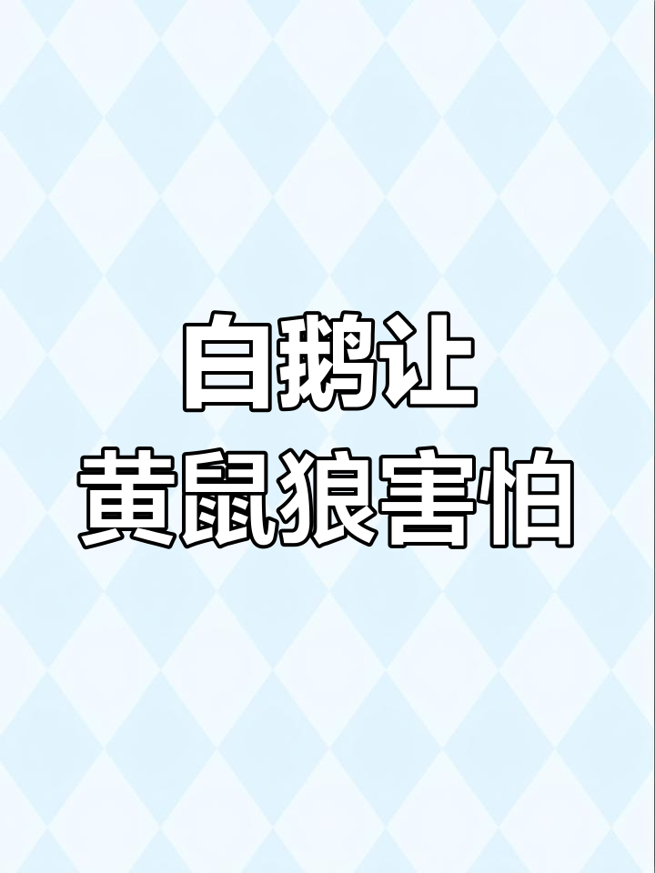黄鼠狼的天敌竟是这种常见动物