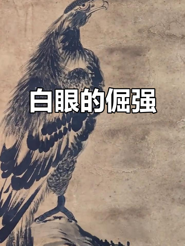 朱耷画作中,鱼鸟皆有白眼,透出深沉的悲愤与不屈