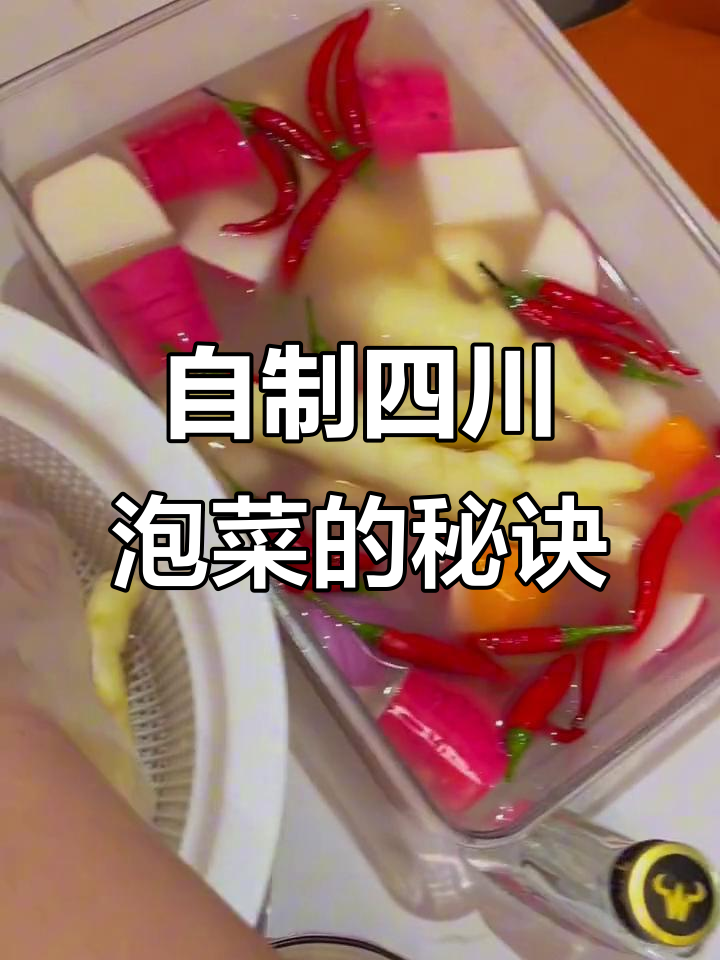 6月特辑:四川泡菜母水制作,加配料味道更丰富