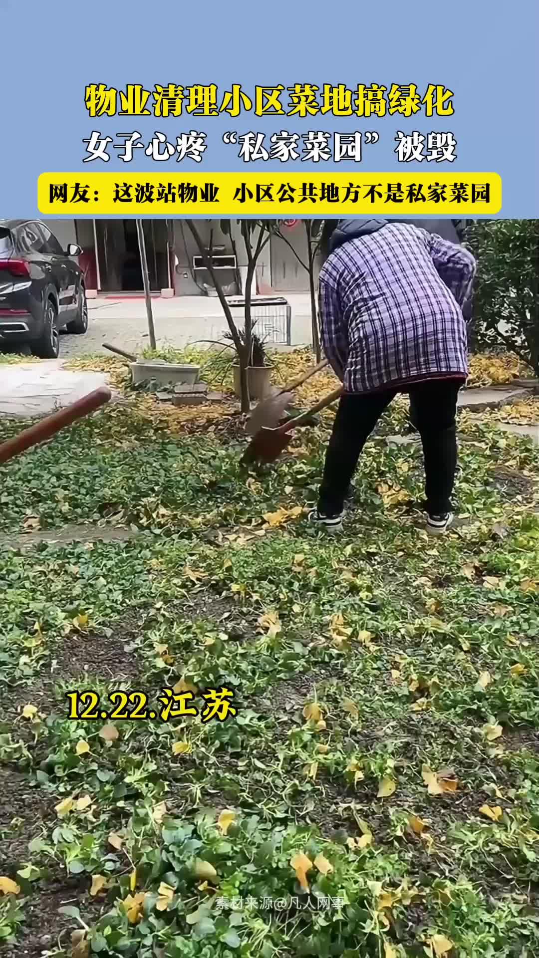 物业清理小区菜地搞绿化 女子心疼“私家菜园”被毁