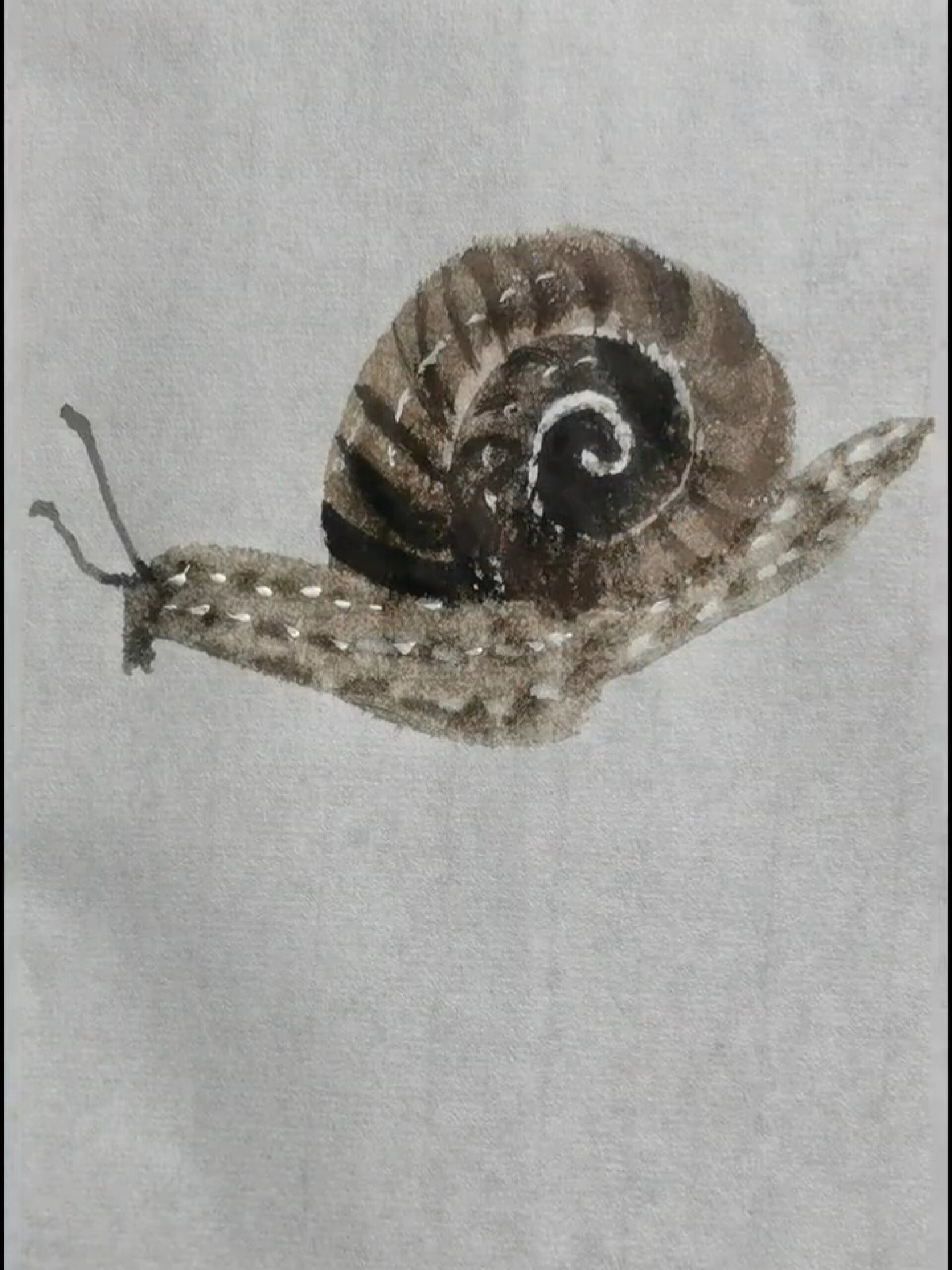 国画蜗牛