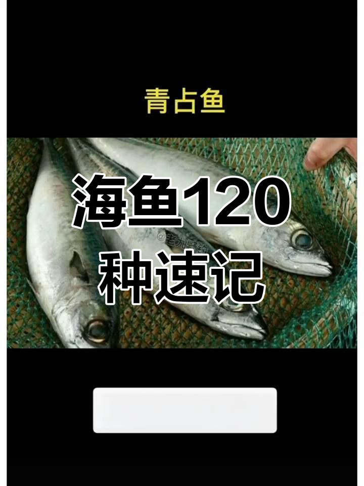 120种常见海鱼大揭秘,了解它们的特征与名字