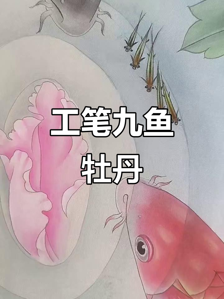 九鱼牡丹工笔画,细节之美尽显