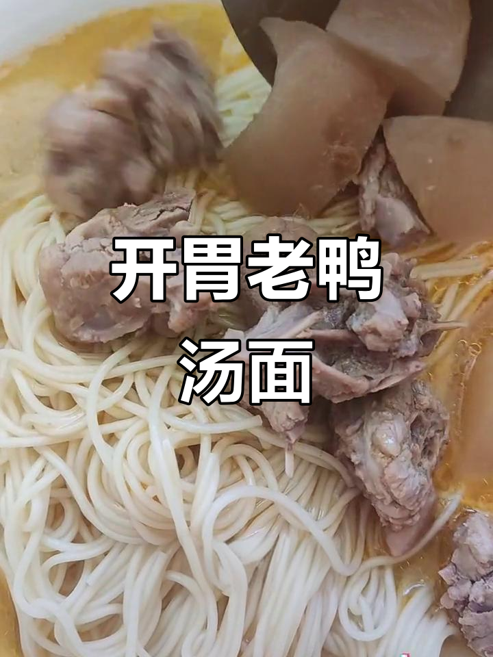 天气热了,来碗酸萝卜老鸭汤面,开胃又解馋!