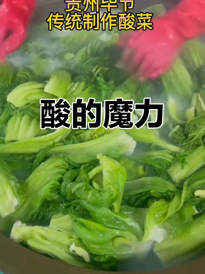 三天不酸,毕节人无法走路!酸菜情结深似海