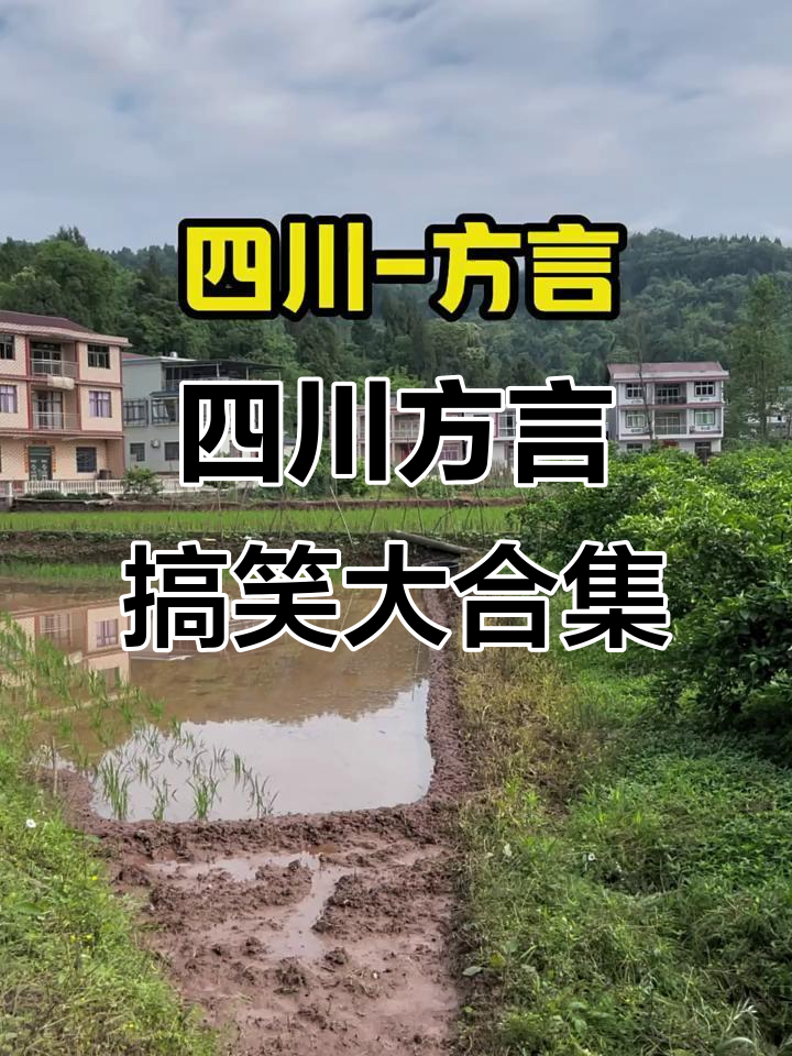 四川话里的那些奇葩表达,笑到不行!