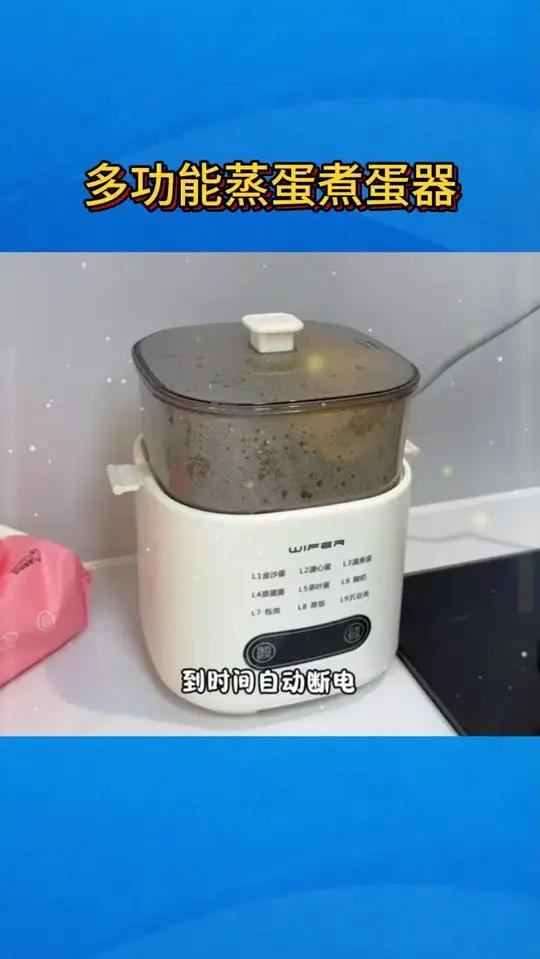 这个双层小蒸锅真的太好用了！又快又方便！也不占地方！