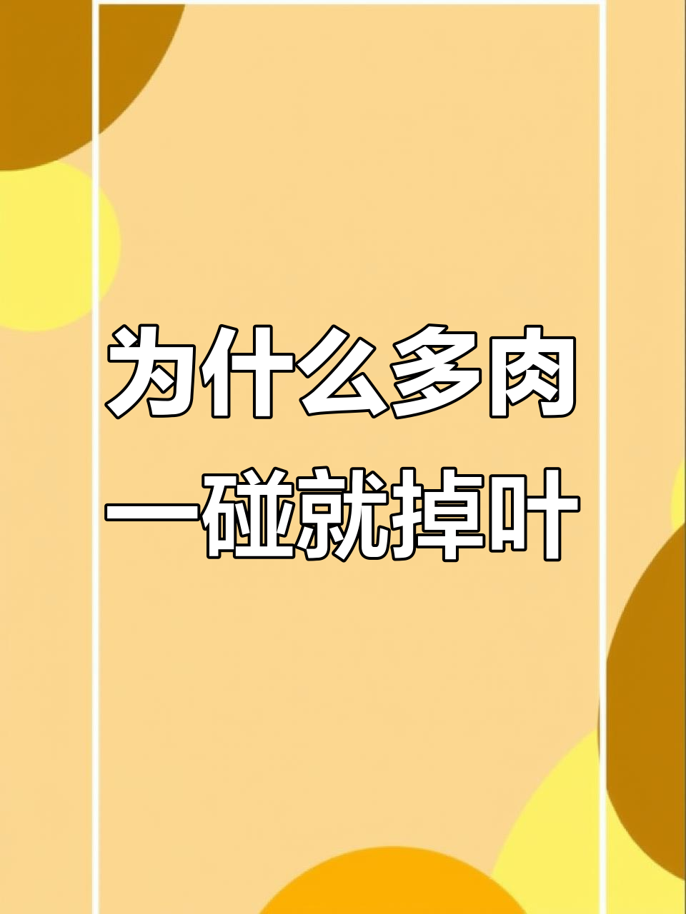 多肉叶子掉落原因大揭秘,如何判断是否健康?