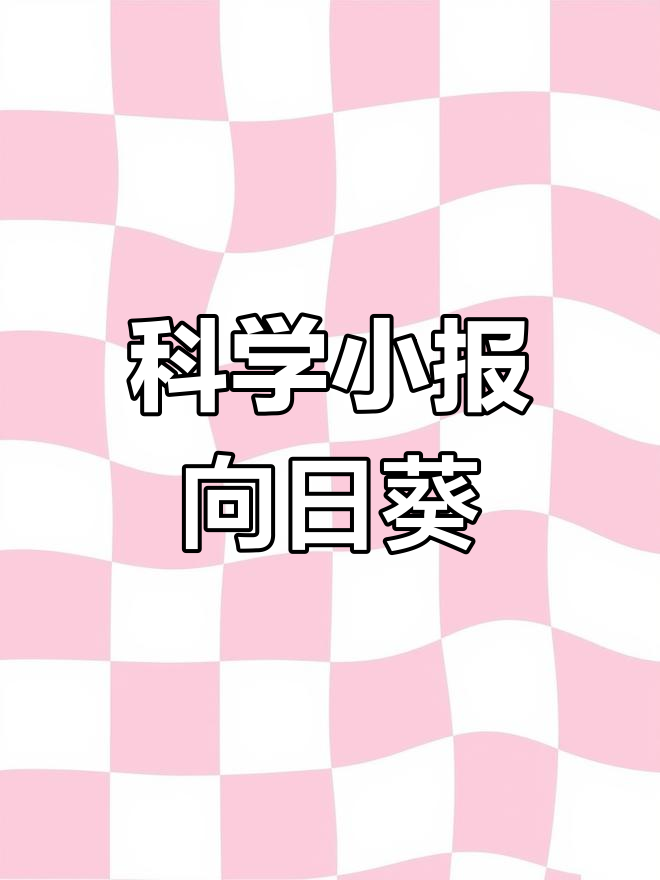 向日葵自然笔记手抄报完成