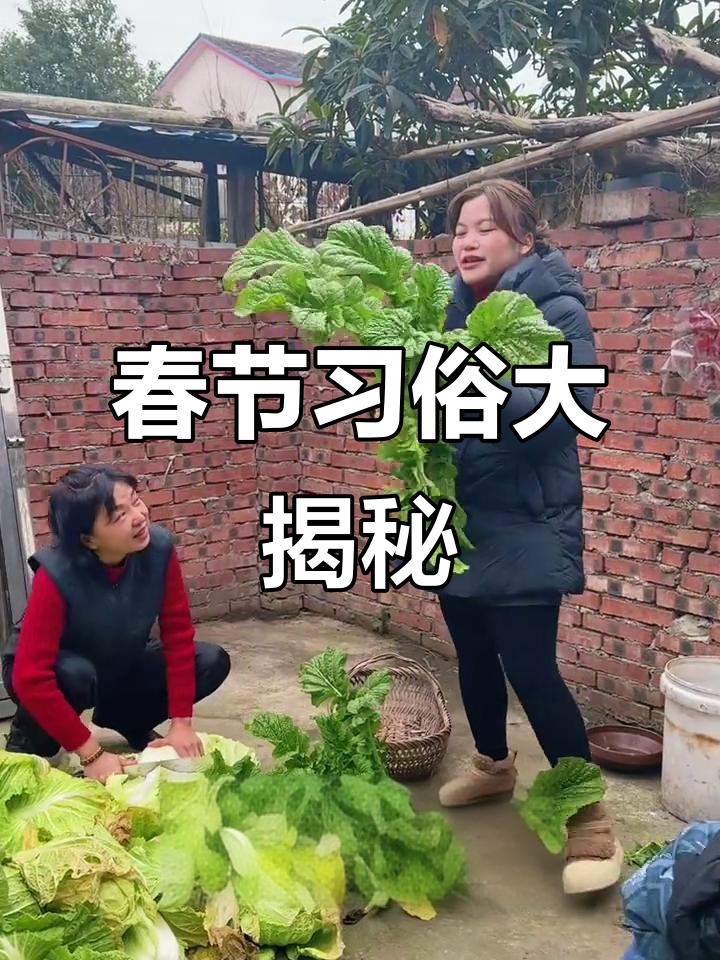 年夜饭讲究多,青菜寓意常青,你们那儿有什么独特传统吗?