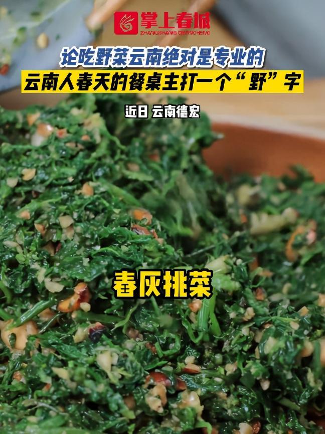 论吃野菜云南绝对是专业的,云南人春天的餐桌主打一个“野”字 云南的春天有多野 云南人吃野菜