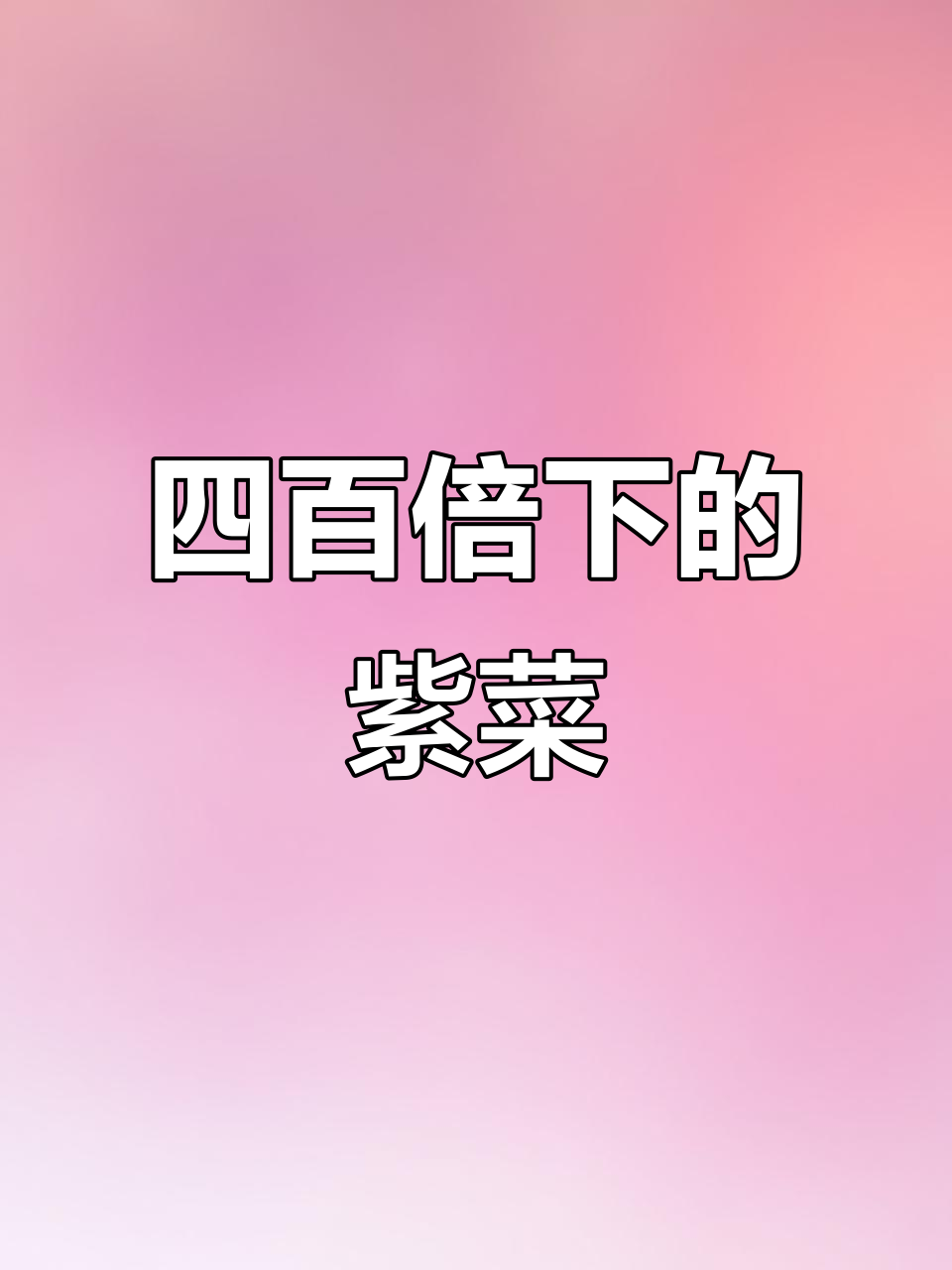紫菜放大四百倍,竟然是这样的结构!
