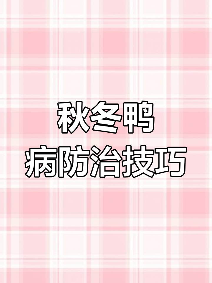 秋季昼夜温差大,鸭病频发!气囊炎、脑膜炎全攻略