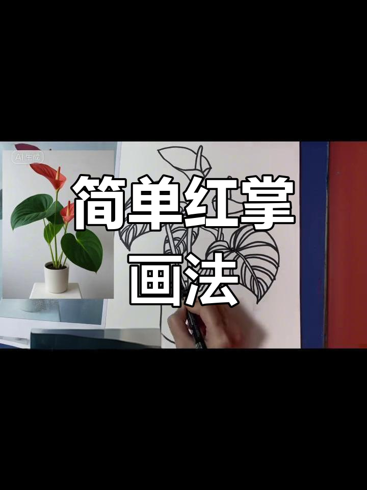 红掌静物写生教程,轻松掌握线描技巧