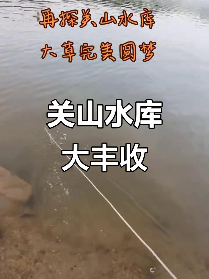 野钓关山水库,玉米诱饵收获满满,最大草鱼近十斤!