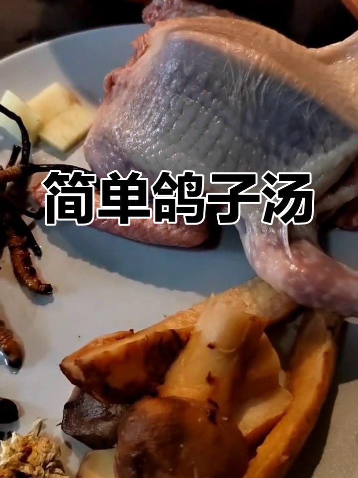 隔水炖鸽子汤,滋补美味