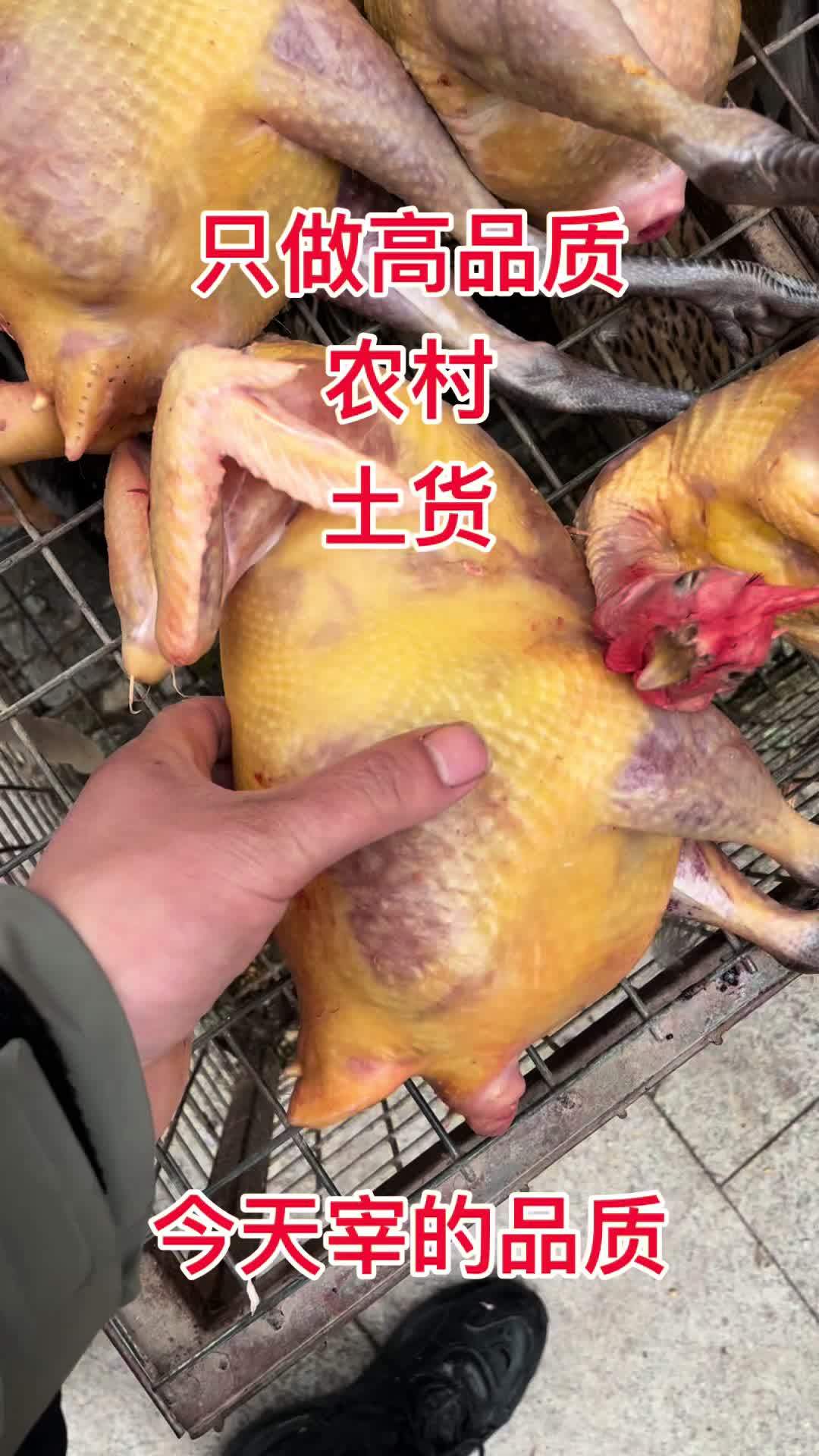 只做农村高品质好货需要农村土货关注我12:00开播 生态散养 土鸡土鸭 乡村味道