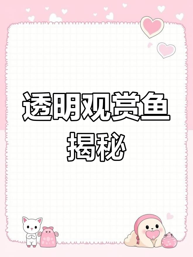 完全透明的玻璃猫鱼,内脏清晰可见