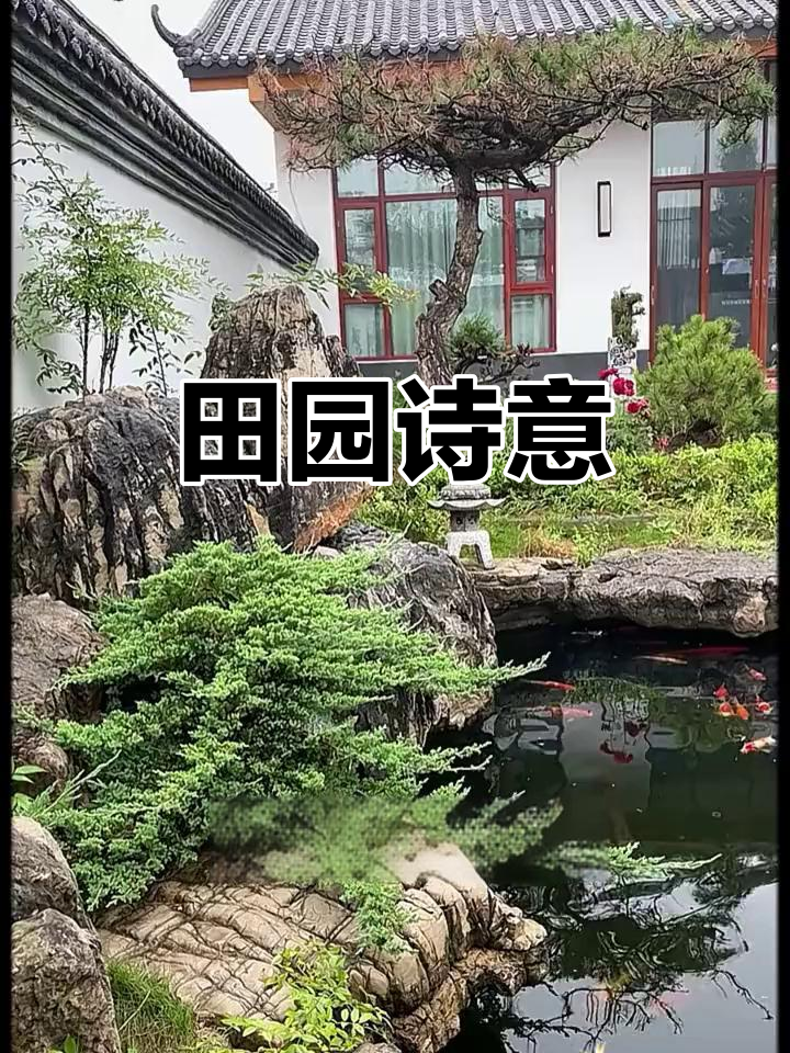放下一切,回归田园,花开花落,虾游水间,生活如诗