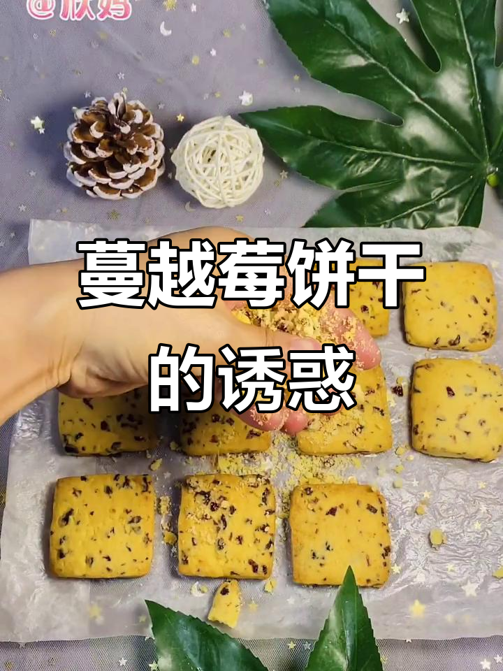 蔓越莓饼干,香酥可口,烤至金黄,完美下午茶小点心!