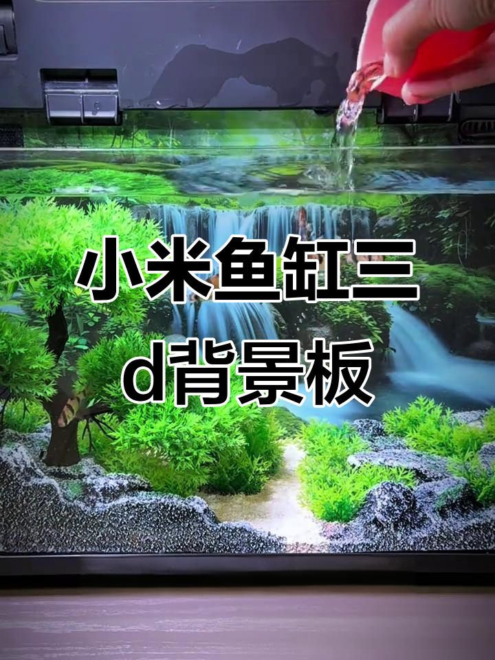 小米鱼缸造景全攻略,轻松打造溪流森林生态景观