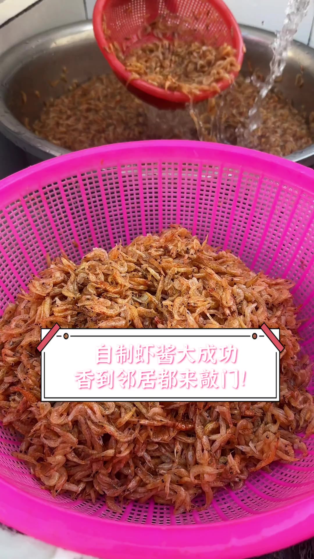 自制虾酱大成功,香到邻居都来敲门!