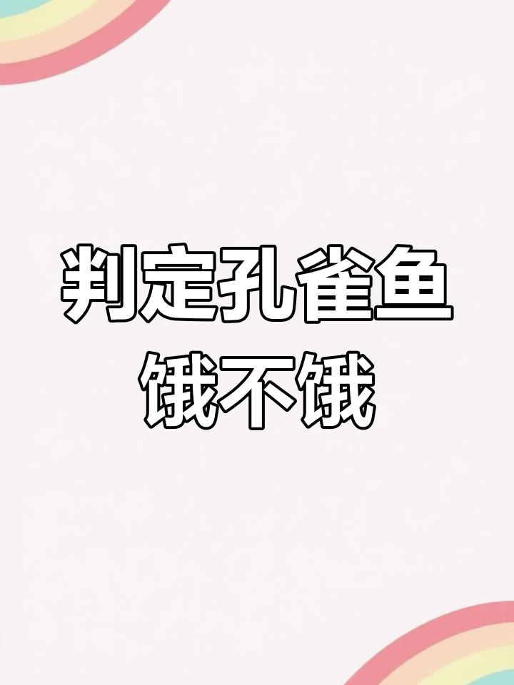 如何判断孔雀鱼是否饿了?这些方法你得知道