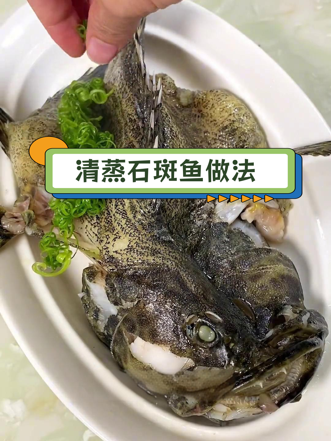 秋冬必备清蒸石斑鱼,去腥技巧大公开