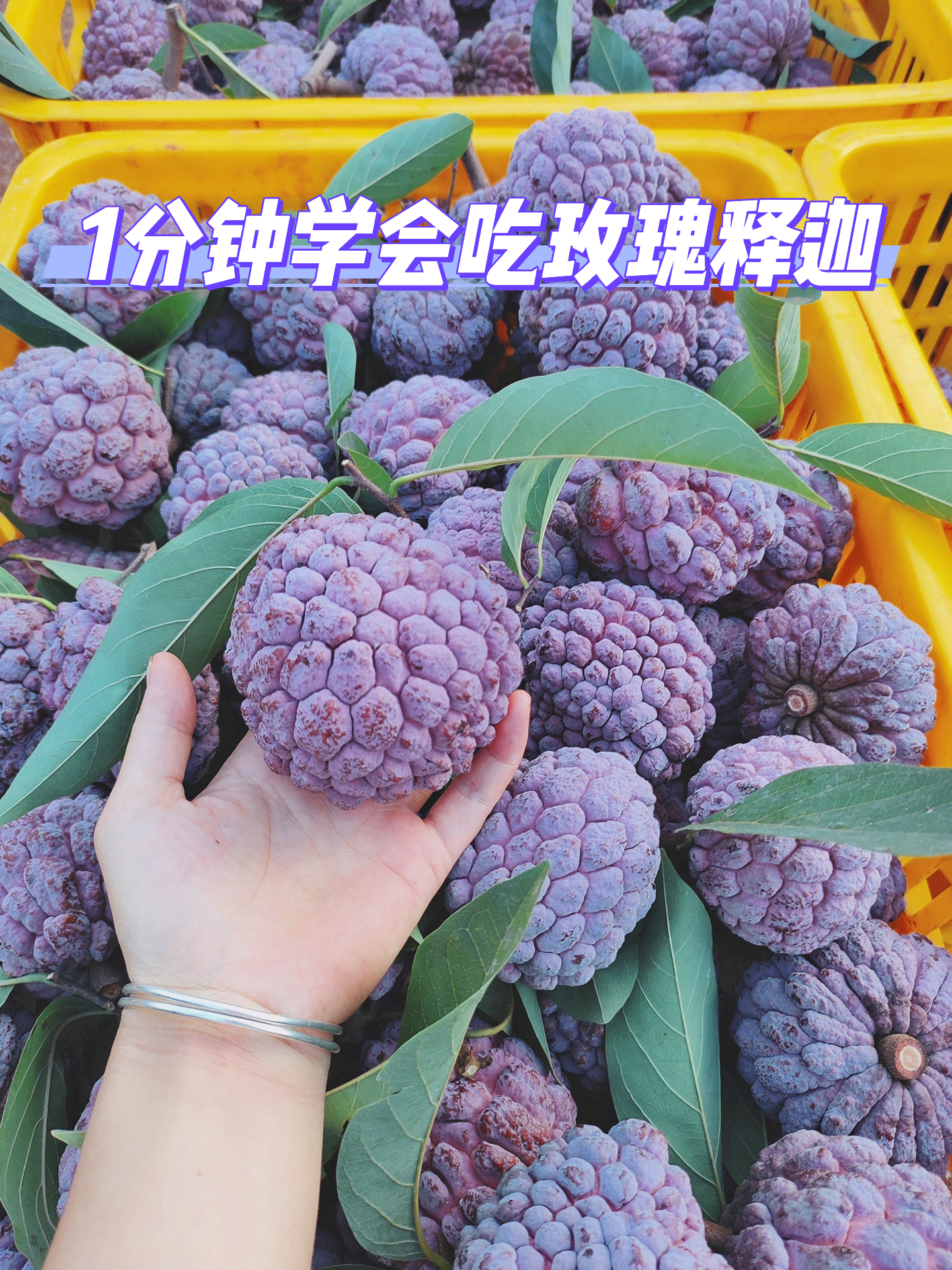 玫瑰释迦果怎么吃?什么样最好吃?1分钟get!