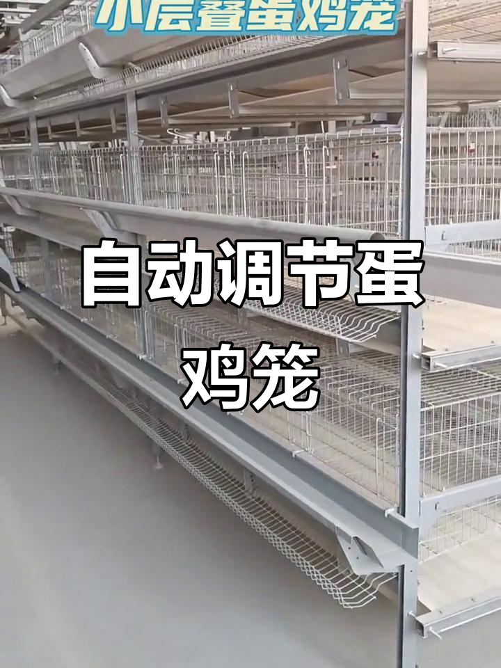 自动化蛋鸡笼设计，调节角轻松调整