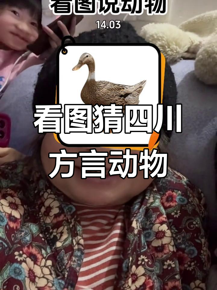 四川话趣味猜动物,公鸡、兔子还是鸽子?