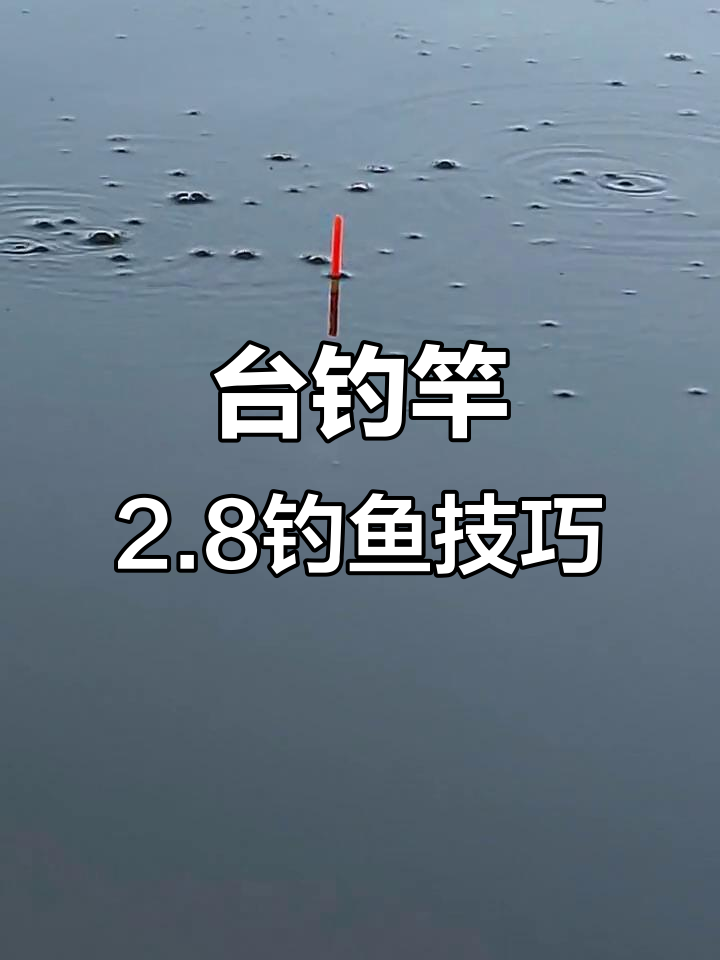 台钓竿2.8技巧:如何精准捕捉鱼群动态