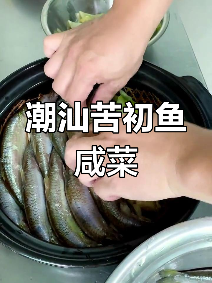 潮汕苦初鱼咸菜,简单又美味,人人夸你是大厨
