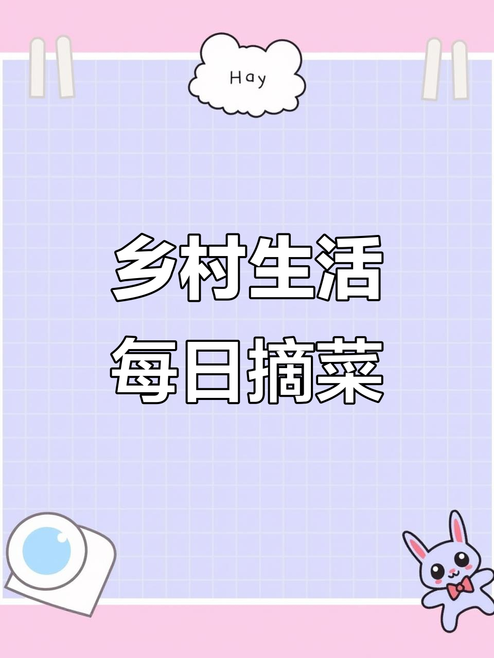 每天采摘新鲜蔬菜,紫孔雀和黄心屋也来凑热闹