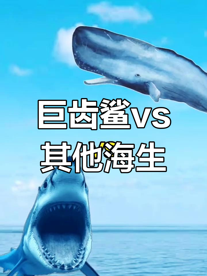 巨齿鲨挑战海洋所有生物,谁能打败它?
