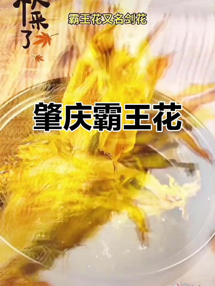 肇庆霸王花:农家特产,营养又美味