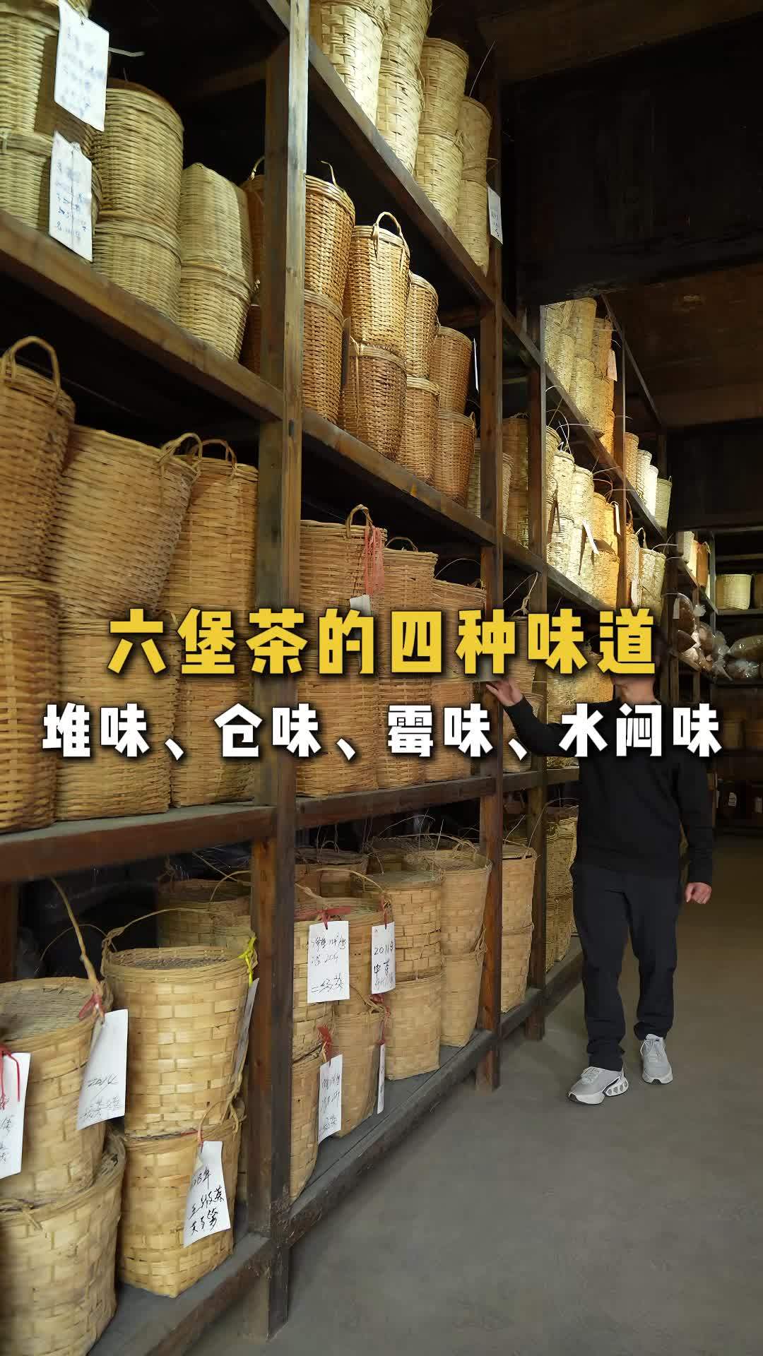 六堡茶的堆味、仓味、霉味、水闷味,都是什么味道?很多茶友都搞错了,你能分得清吗?懂茶帝通过