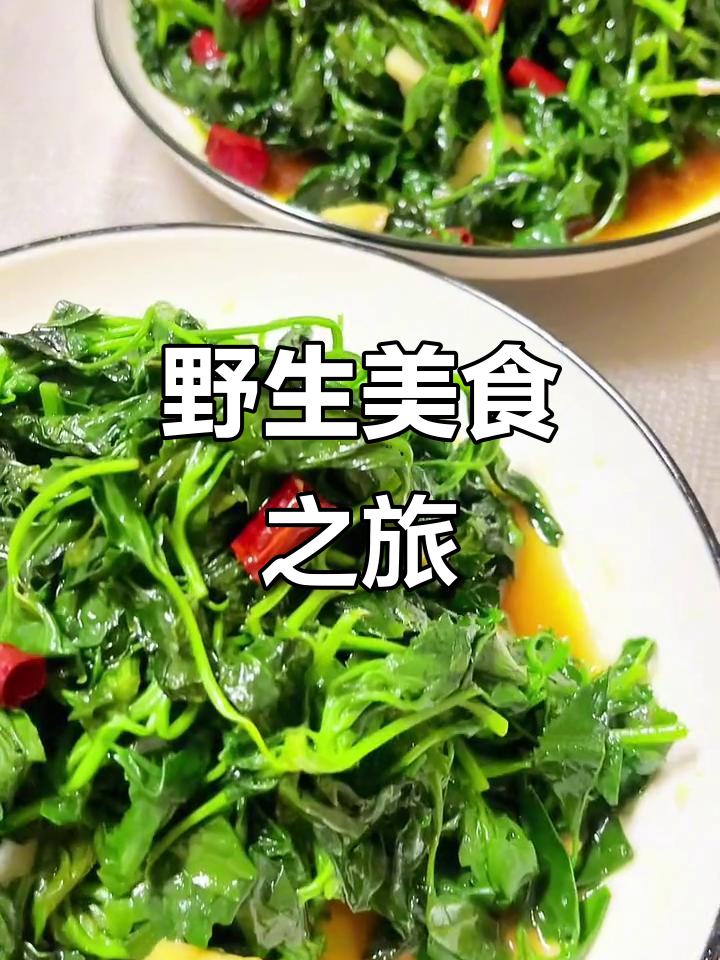 云南野菜盛季,炒灰灰菜香气扑鼻,美味无穷!
